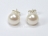 Classic White Roundish Pearl Stud Earrings 7-7.5mm