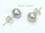 Classic Grey Pearl Stud Earrings 7-7.5mm 