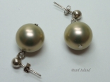 Bronze Pearls