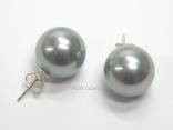 Utopia Silver Grey Shell Pearl Studs