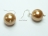 Utopia Golden Shell Pearl Earrings