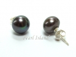 Prestige Peacock Black Pearl Studs 7-8mm