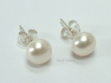 Prestige White Pearl Studs 6-7mm