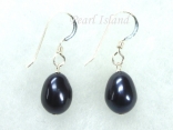 Petite Peacock Black Oval Pearl Earrings 8-8.5mm