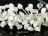 Princess Keshi Pearl Bridal Wedding Tiara