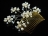 Stylish Freshwater Pearl Gold Wedding Hair Comb (double)